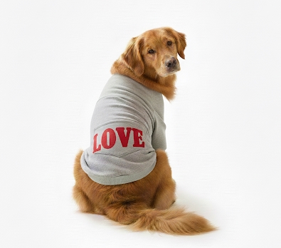 Roupa Pet Personalizada- Em malha de algodão